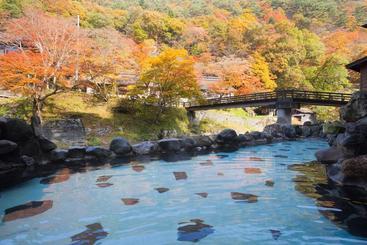 هتل Osawa Onsen Sansuikaku