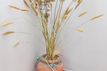 Hostal Patio Andaluz