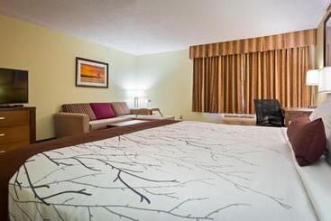 酒店 White Pine Inn & Suites