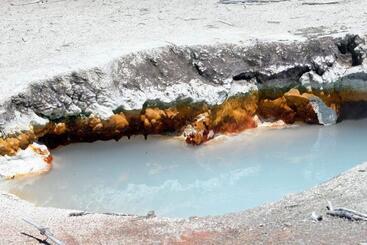 فندق Grant Village   Inside The Park