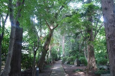 בית מלון כפרי Hachinohe Park