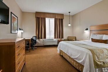 ホテル Best Western Plus Chateau Inn Sylvan Lake
