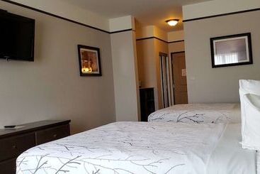 호텔 Best Western Plus Emory At Lake Fork Inn & Suites