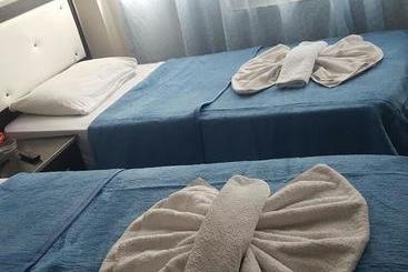 Madi Hotel Van