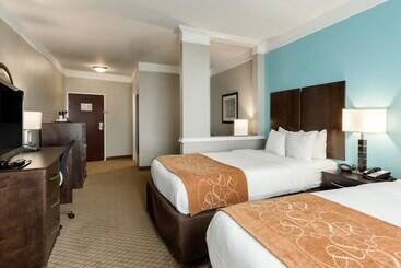 酒店 Comfort Suites At Katy Mills