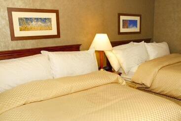 酒店 Comfort Suites Fernley