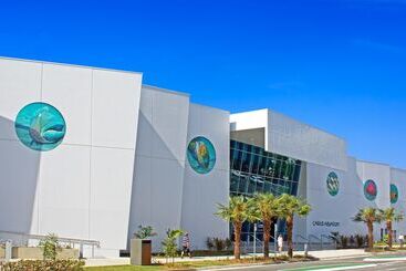 هتل Koala Beach Resort Cairns