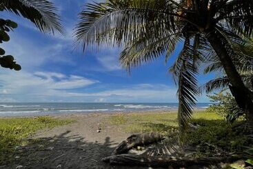 مبيت وإفطار El Icaco Tortuguero