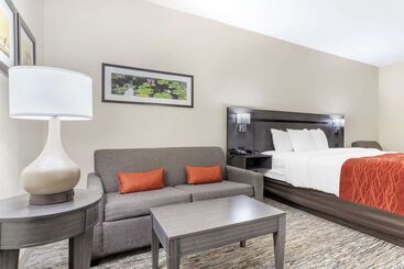 Comfort Inn By Choice Hotels Orange, Tx