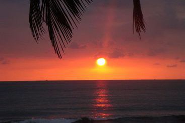 Hotel Mango Mar