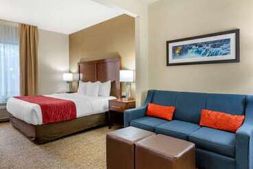 ホテル Comfort Inn & Suites Jerome   Twin Falls