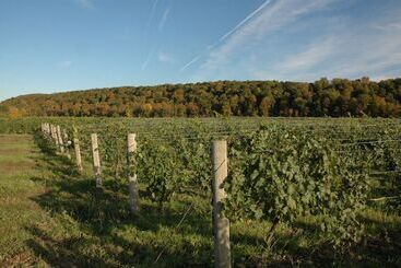 Отель Residence & Conference Centre  Niagaraonthelake