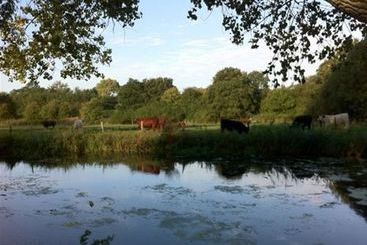 هتل The Long Melford Accommodation