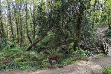 ベッドアンドブレックファースト Summerfields House