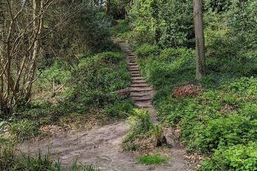 Bed and Breakfast Summerfields House