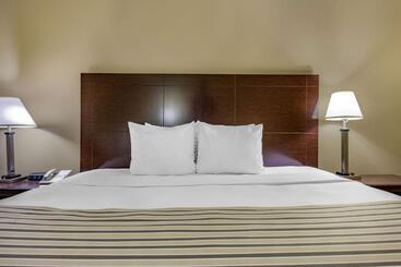 ホテル Econo Lodge Inn & Suites Triadelphia  Wheeling