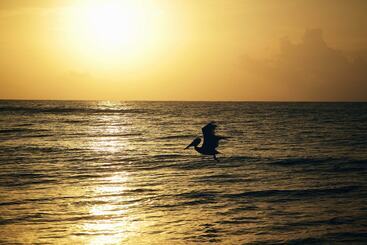 酒店 Punta Piedra Beach Posada