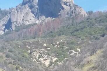 민박 The Parks Inn