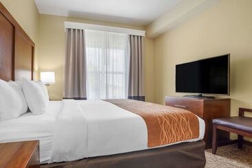 فندق Comfort Inn & Suites Mobile Near Eastern Shore Centre