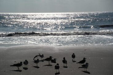 فندق Carisbrooke Inn Bed & Breakfast