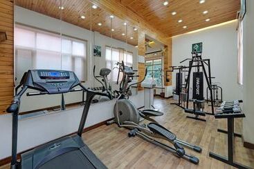 Bravia Hotel Manali Inn