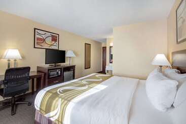 酒店 Quality Inn & Suites