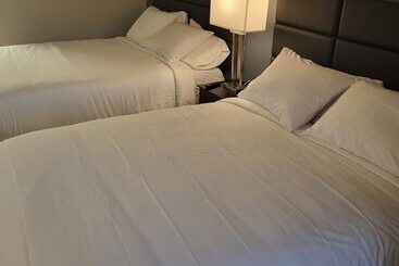 酒店 Red Fox Inn And Suites