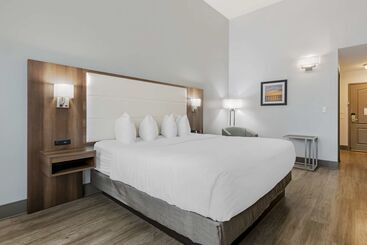 호텔 Best Western Plus First Coast Inn And Suites