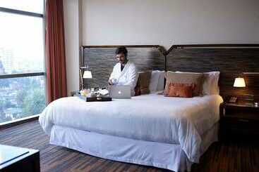 בית מלון כפרי Dreams Araucania