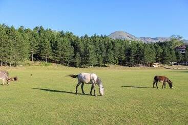 Natyral Razma Resort