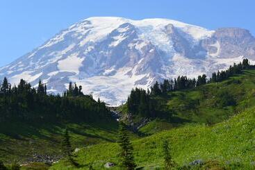 فندق Peppermill Empress Inn