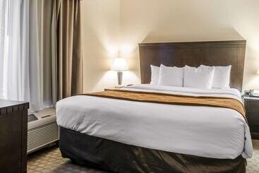 酒店 University Inn