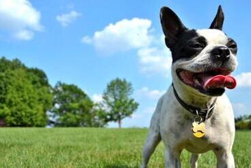 فندق Aloft Broomfield Denver