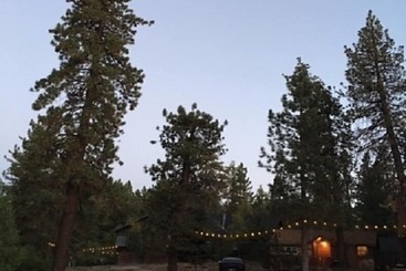 渡假胜地 Golden Bear Cottages