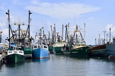 شقة فندقية Fairfield Inn And Suites By Marriott New Bedford