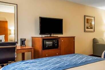 酒店 Comfort Inn & Suites Franklin East