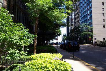 Dewitt Hotel & Suites