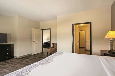 酒店 La Quinta By Wyndham Mckinney