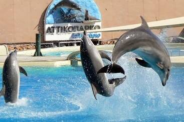 호텔 Anastazia Luxury Suites & Spa