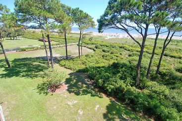 Отель Complejo Forest Beach Hilton Head Island