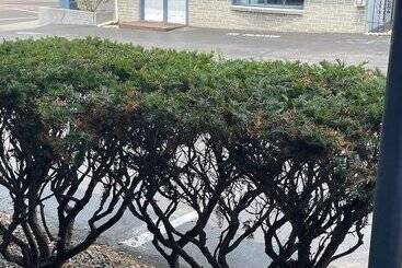 Colton Motel Gettysburg