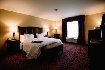 公寓式酒店  Hampton Inn & Suites Minot Airport