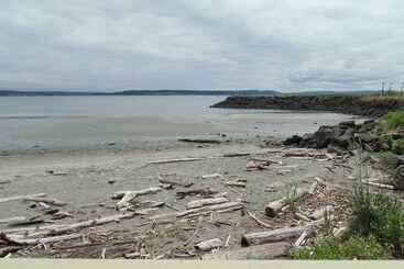 فندق Water Front Inn