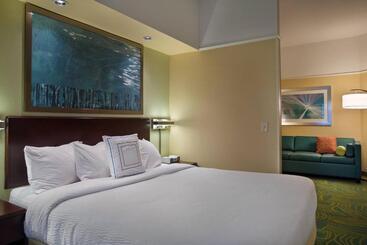فندق Springhill Suites St Petersburg Clearwater