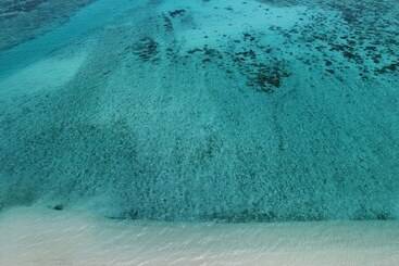 فندق Minshuku Robinson