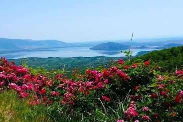 בית מלון כפרי Loggas