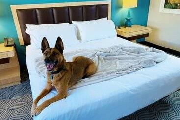 Downtown Grand Hotel & Casino