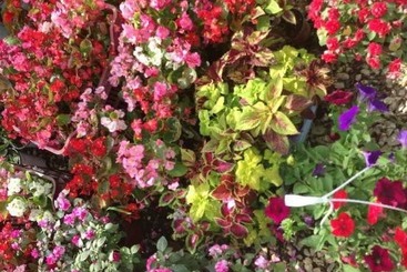 Апарт-отель Ccb Bruskos