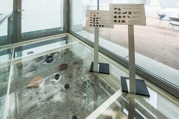 Hotel Camplus Bononia Casa Per Ferie