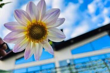 אתר נופש Into The Wild Stays